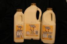 Maleny Dairies Guernsey Milk Assorted sizes