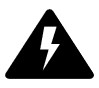 Lightning bolt in black triangle warning label