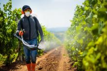 Agriculture worker spraying pesticides