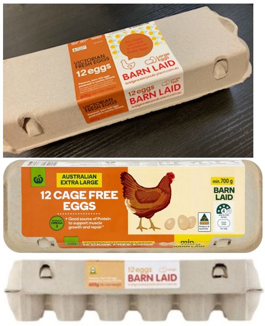 Bridgewater Poultry — Woolworths 12 Cage Free Eggs, Victorian Fresh