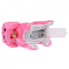 Photograph of Battery-Powered Toy Dog Battery Compartment