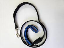 Blue safety leash with LED lights