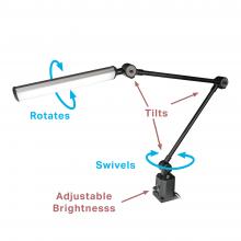 Lamp with features highlighted
