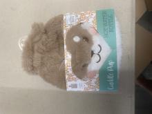 Brown and white puppy in teal and white packaging