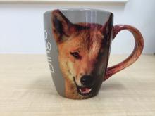 Dingo mug