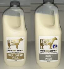 Photograph of Gippsland Jersey milks