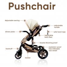 Photograph of Pushchair