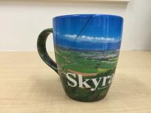 Skyrail mug